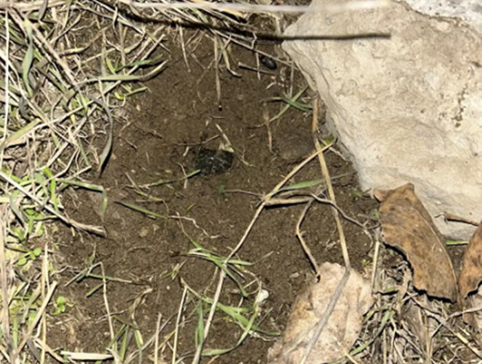 В Волгодонске задержали криминальный дуэт: паре грозит до 20 лет за наркоторговлю