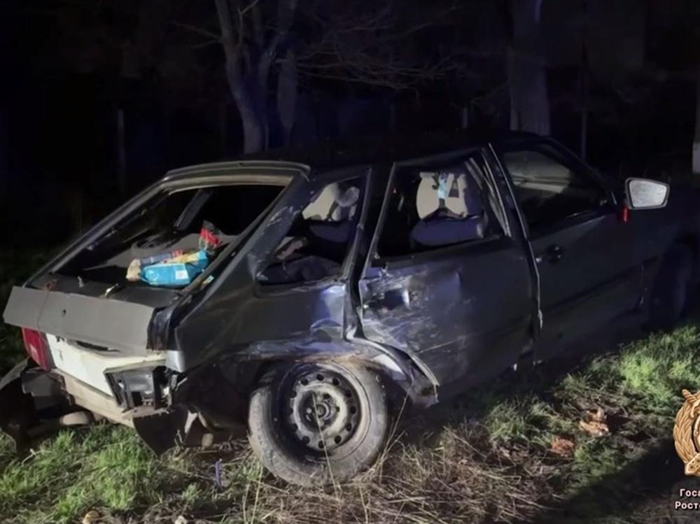 Ночное ДТП в Дубовском районе: столкновение отечественной иномарки отправило пятерых в больницу