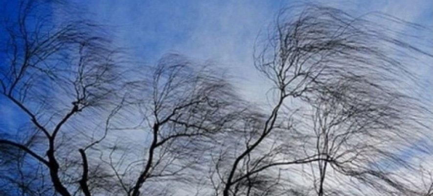 В Волгодонске и Цимлянске объявлен «желтый» уровень опасности из-за сильного ветра