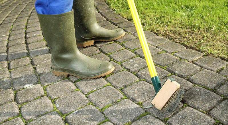 Весенняя уборка участка: полное руководство от снега до первого урожая