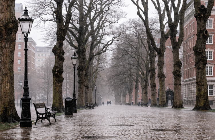 Весеннее тепло приходит в Волгодонск: синоптики обещают до +17 на выходных