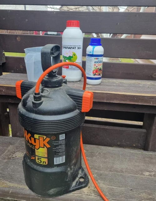 Весенний детокс для сада: почему ранняя обработка — залог здоровья деревьев