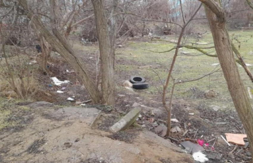 Свалка вместо порядка: в Волгодонске инспекторы вышли на след «мусорного» нарушителя