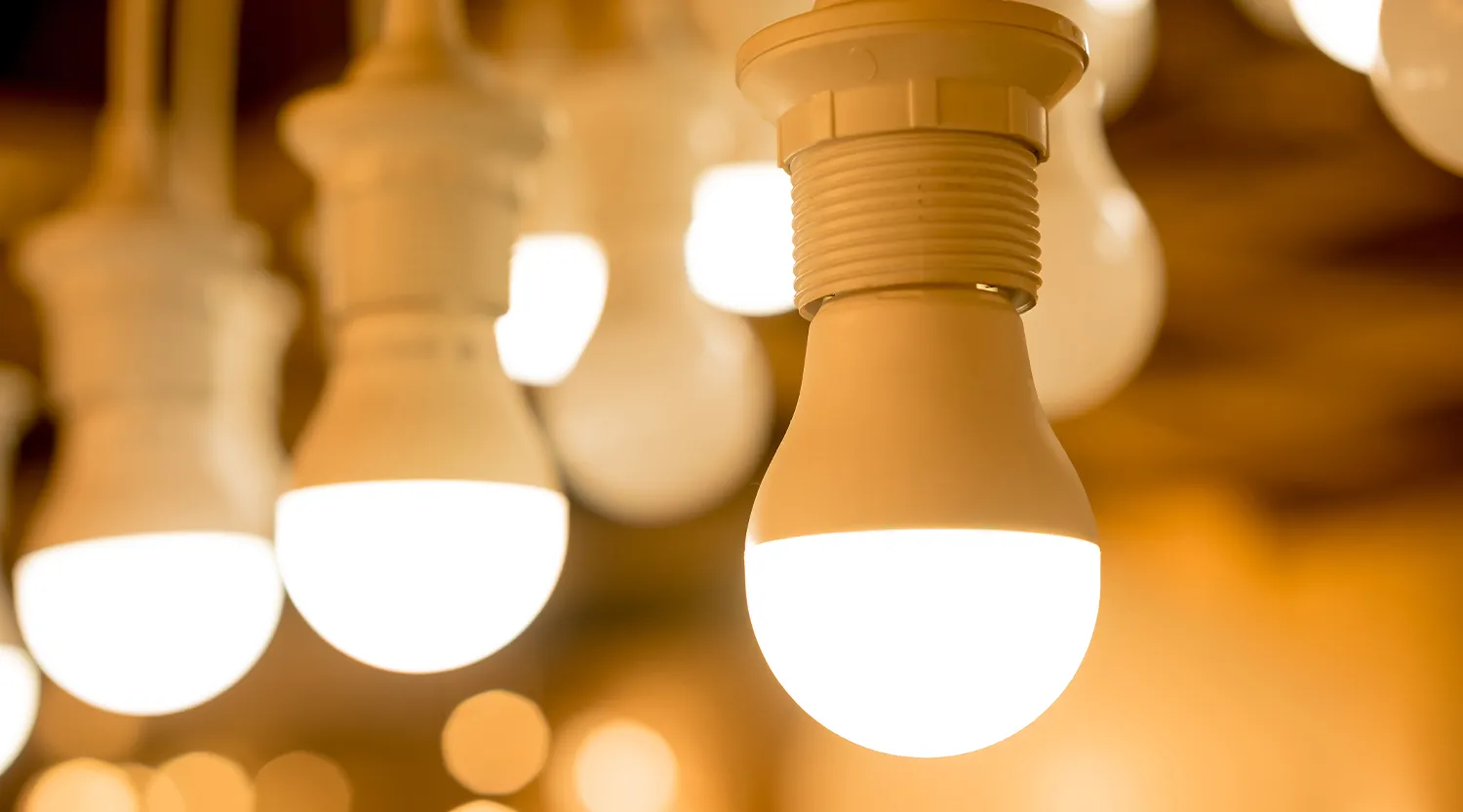 Виды лампочек для дома: как выбрать и не ошибиться