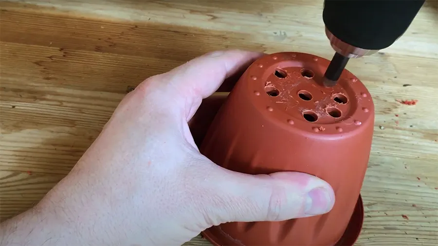 Выращивание растений методом гидропоники: как вырастить клубнику и зелень без земли?