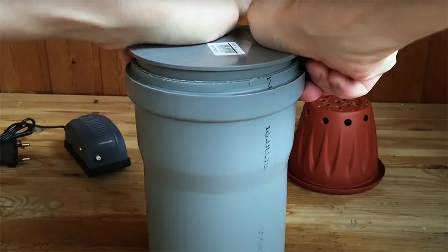 Выращивание растений методом гидропоники: как вырастить клубнику и зелень без земли?