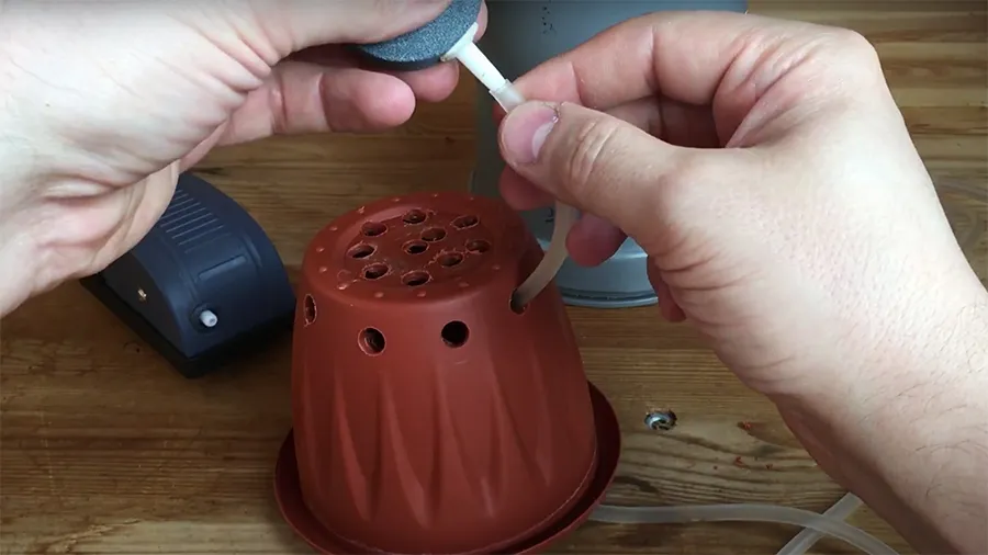 Выращивание растений методом гидропоники: как вырастить клубнику и зелень без земли?