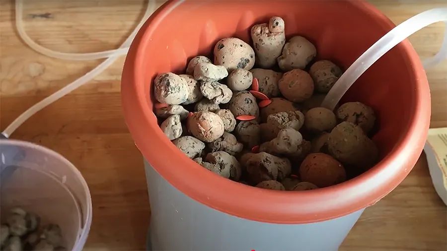 Выращивание растений методом гидропоники: как вырастить клубнику и зелень без земли?