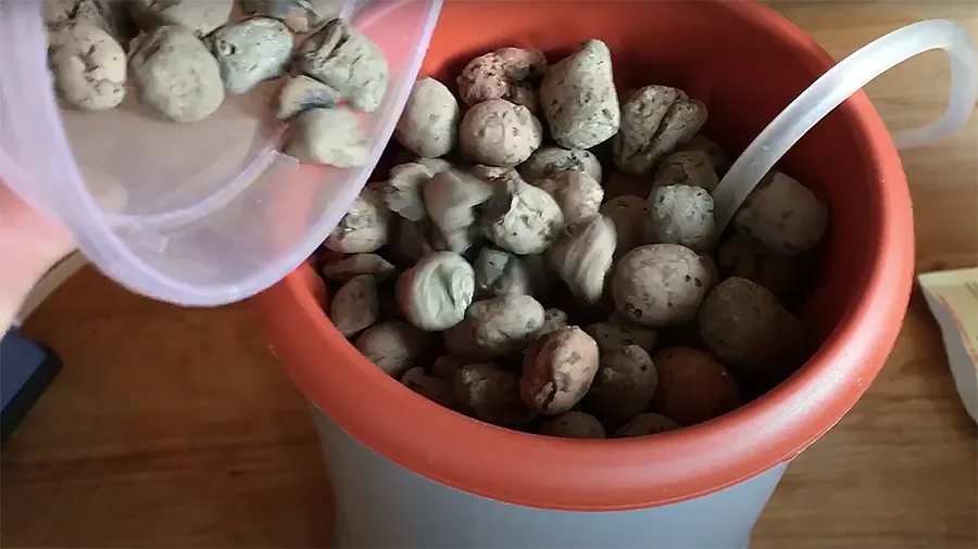 Выращивание растений методом гидропоники: как вырастить клубнику и зелень без земли?