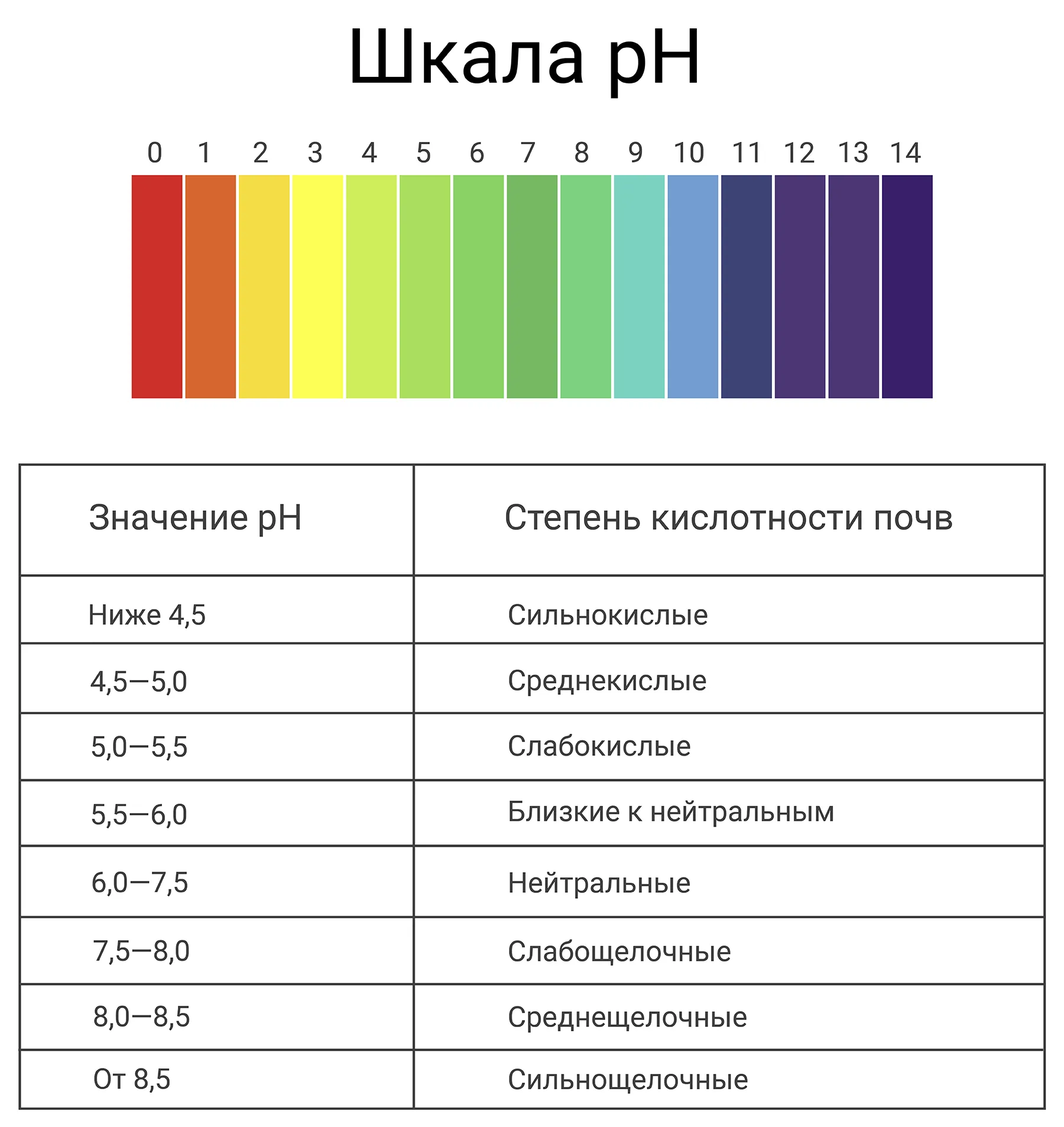 Выращивание растений методом гидропоники: как вырастить клубнику и зелень без земли?