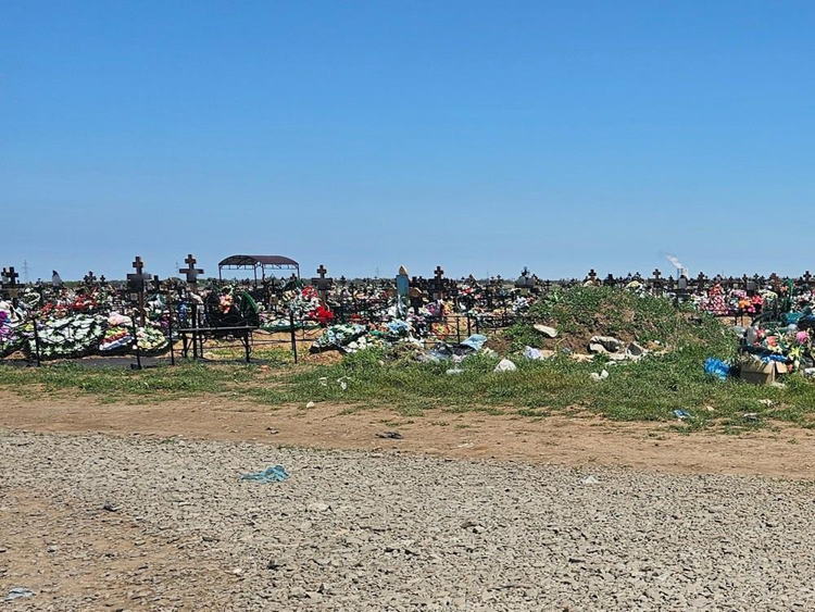 Осторожно, химия: в Волгодонске на несколько дней закрыли кладбища из-за клещей