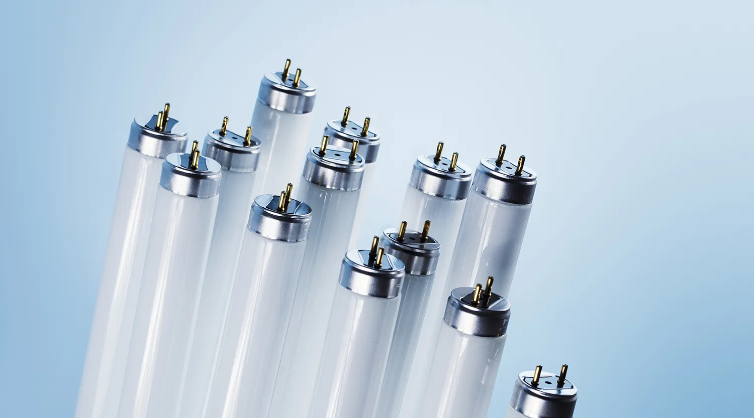 Виды лампочек для дома: как выбрать и не ошибиться