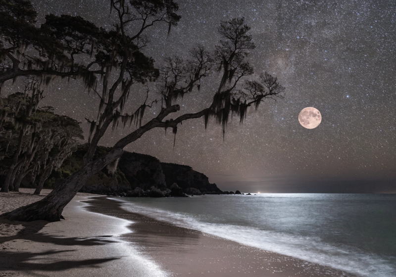 «Время обновления и запрет на ремонт»: нумеролог — о том, как Розовая Луна повлияет на Волгодонск