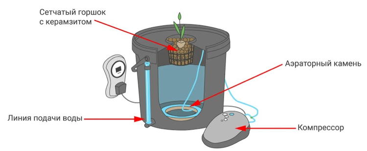 Выращивание растений методом гидропоники: как вырастить клубнику и зелень без земли?