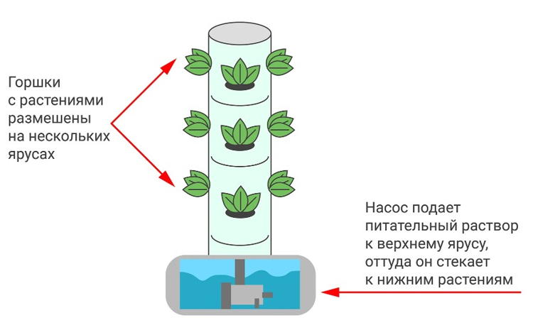 Выращивание растений методом гидропоники: как вырастить клубнику и зелень без земли?