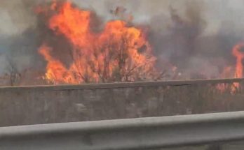 Пожар Волгодонск сегодня путепровод камыш